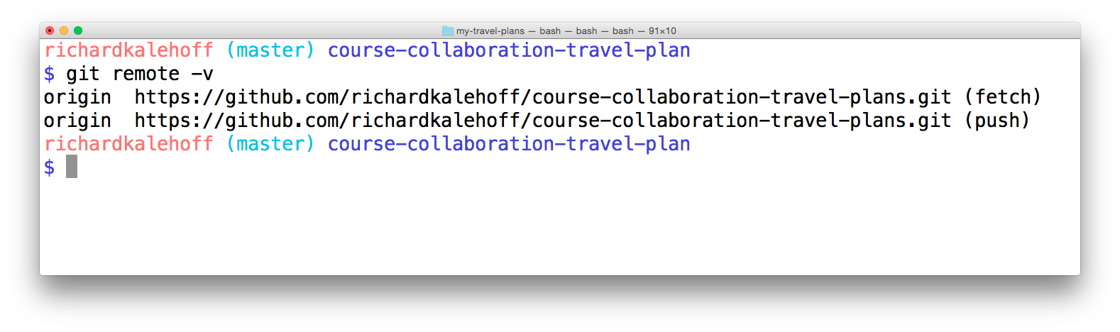 _The terminal application showing the existing connect to the remote repository. This is my remote repository and has the shortname `origin`._